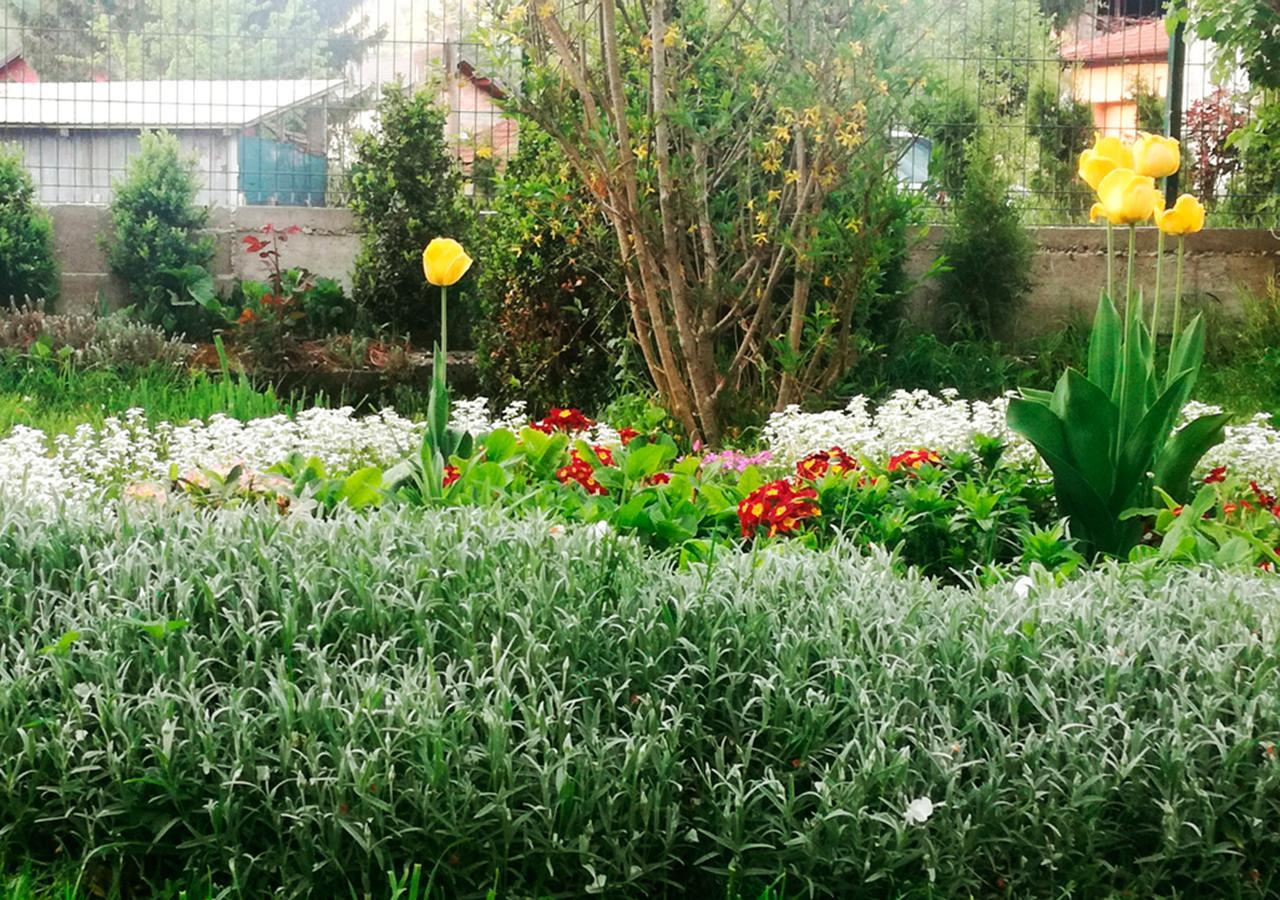 Apartman Amelaa Kulen Vakuf Exterior foto